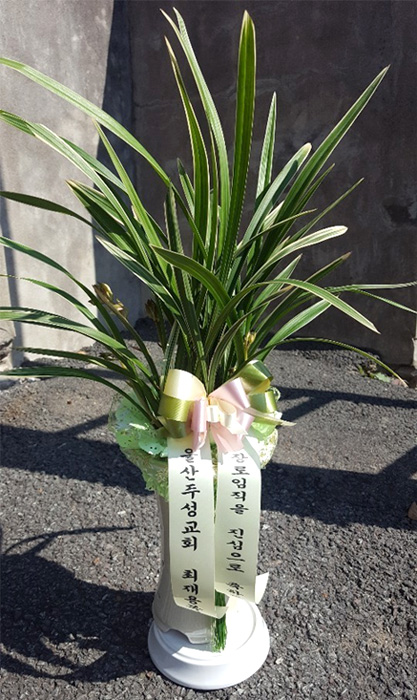 ST-E505