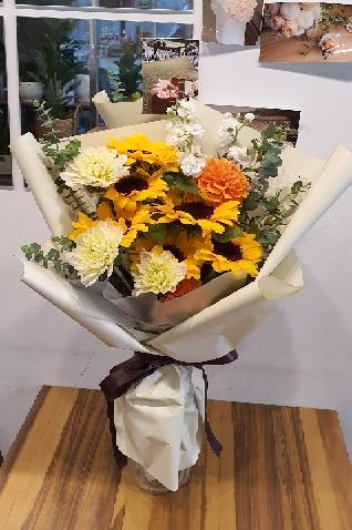 ST-C485