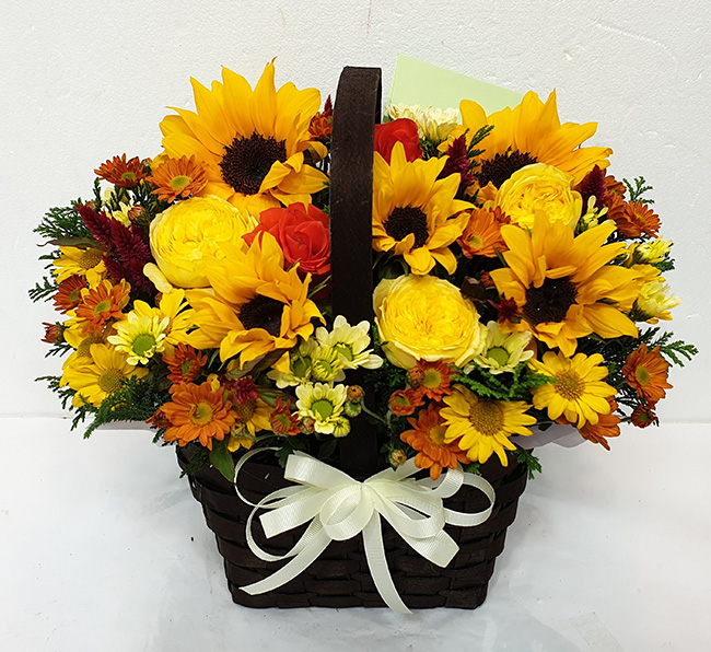 ST-A1383