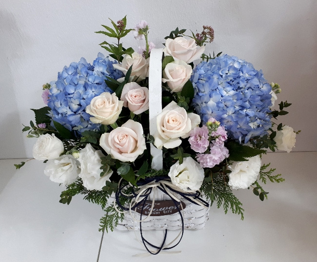 ST-A1661