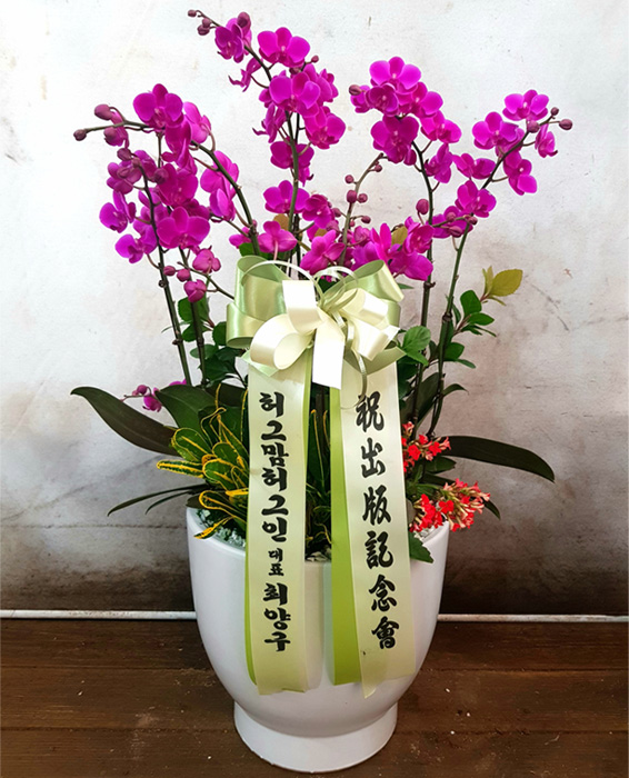 ST-H263