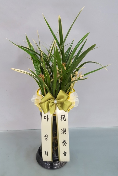 ST-E478
