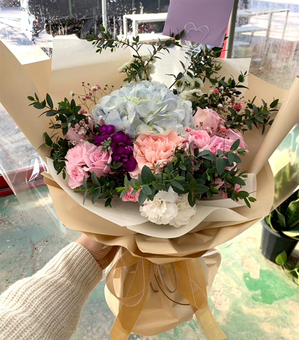 ST-C520