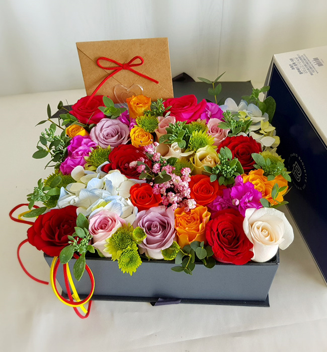 ST-B270