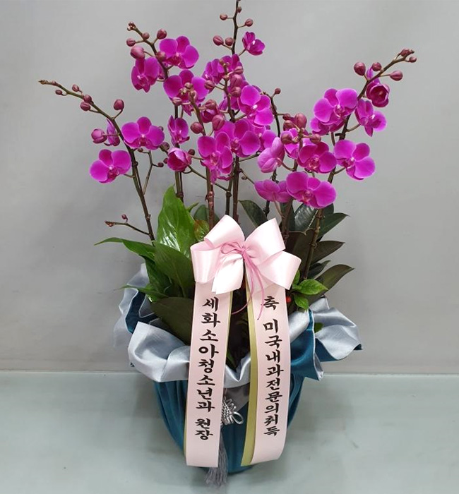 ST-H457