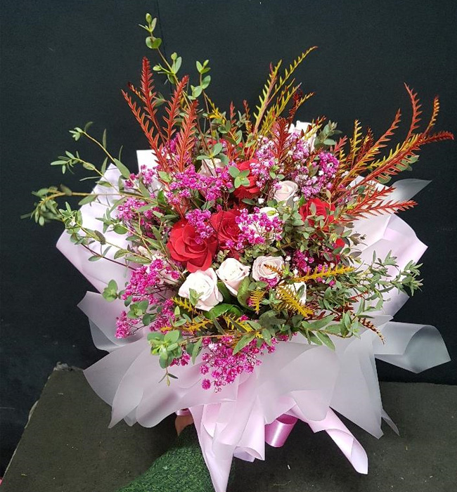 ST-C404