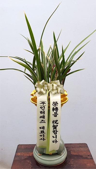 ST-E305
