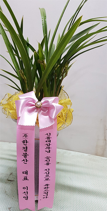 ST-E305