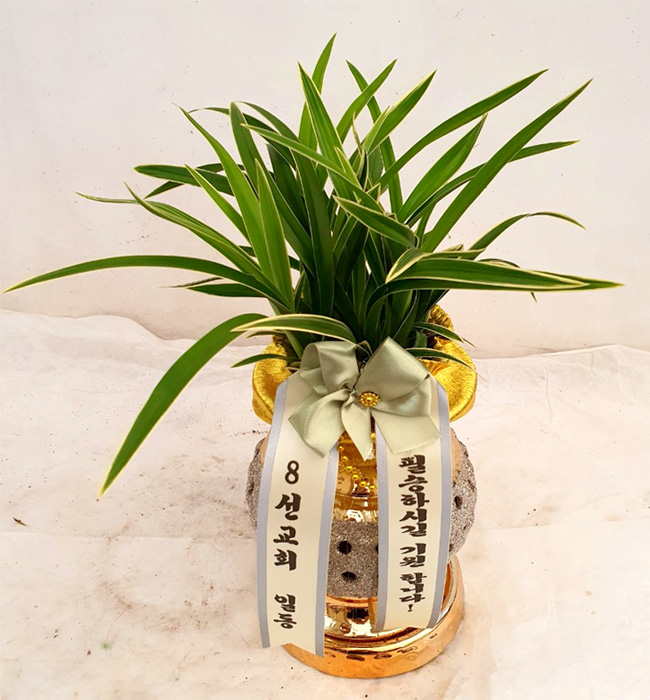 ST-E511
