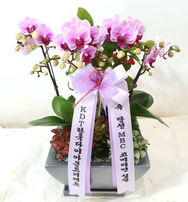 ST-H421