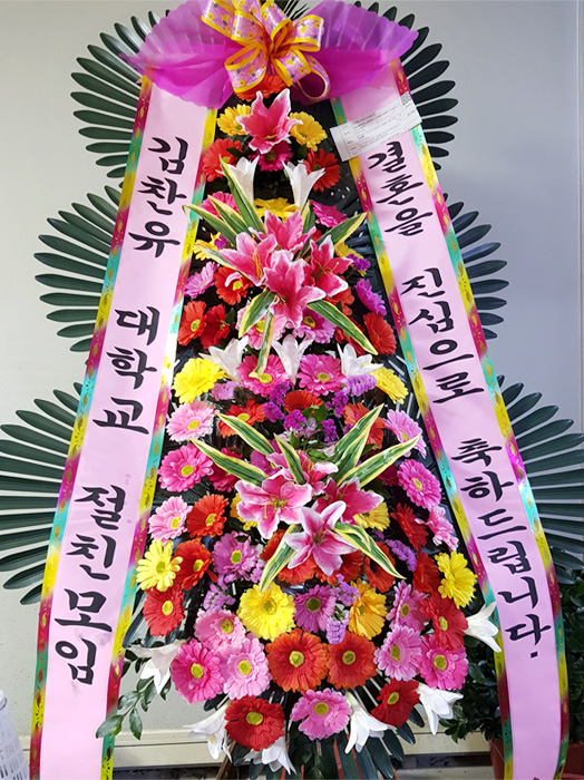 ST-FA248