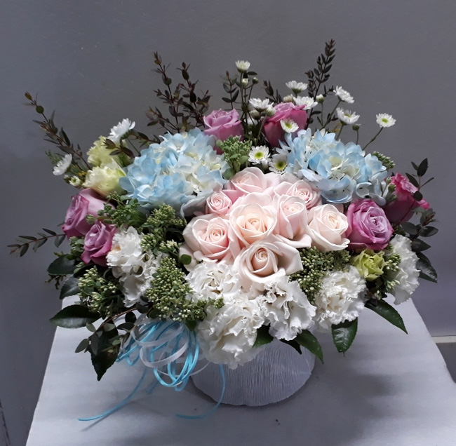 ST-A1661