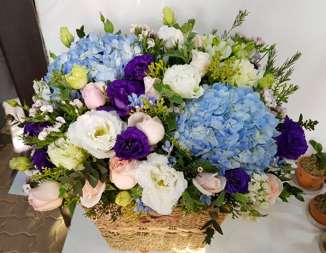 ST-A1579