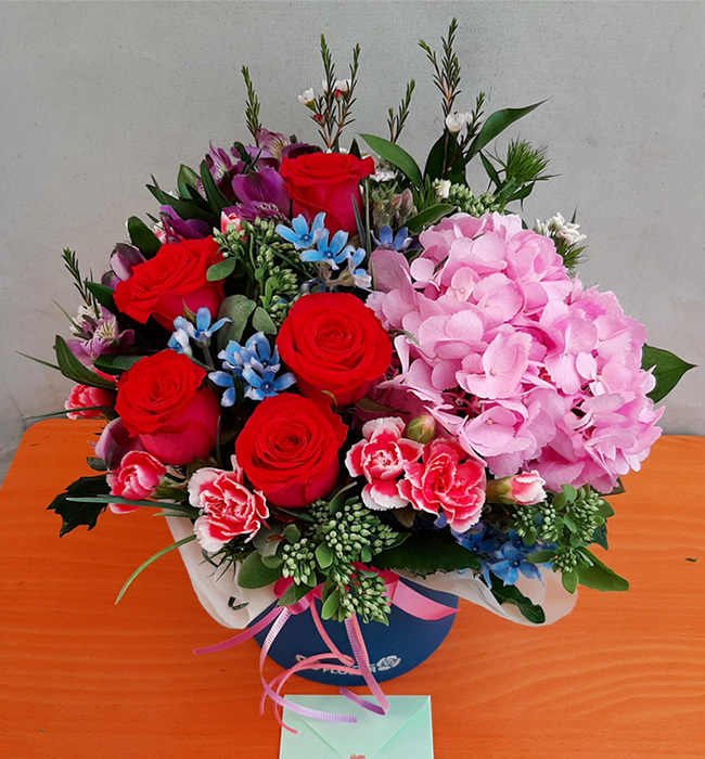 ST-B333