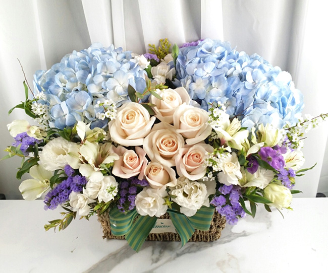 ST-A1661