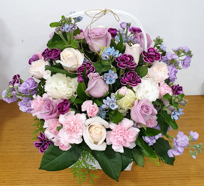 ST-A1113