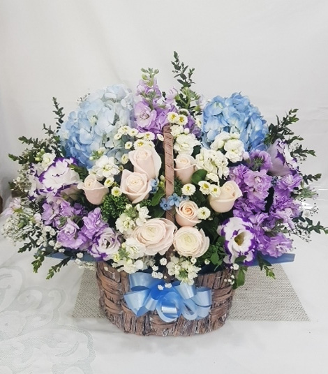ST-A1661
