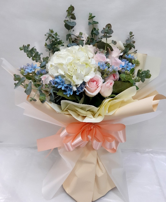 ST-C472