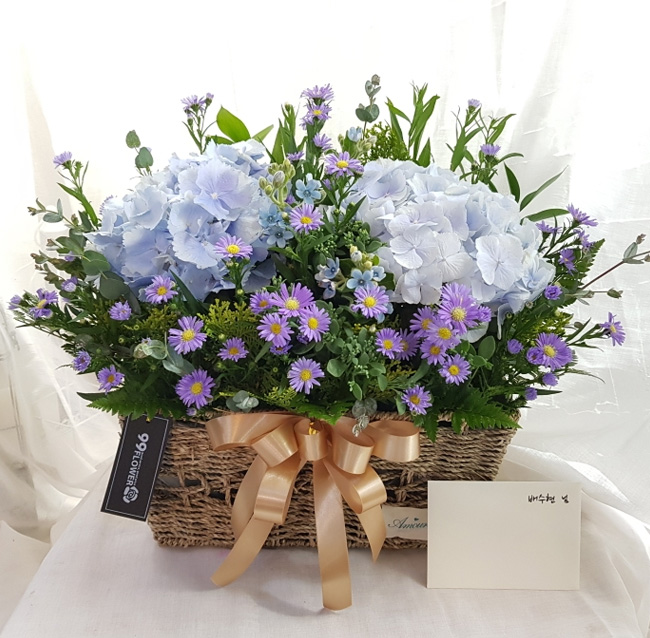 ST-B321