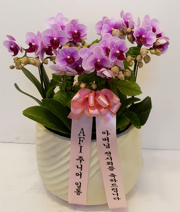 ST-H466