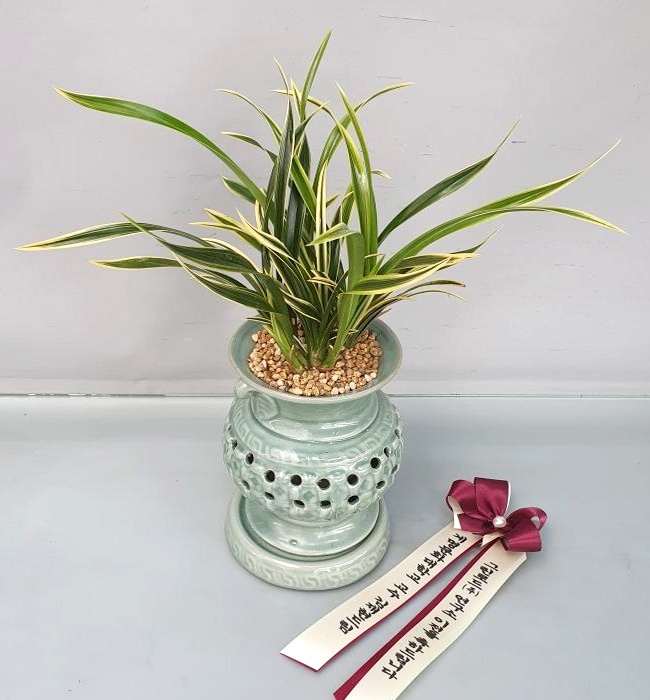 ST-E486