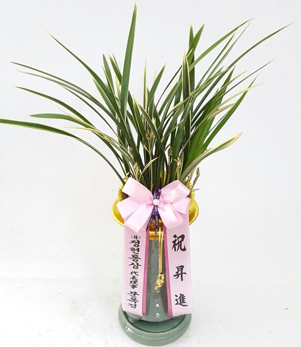 ST-E440