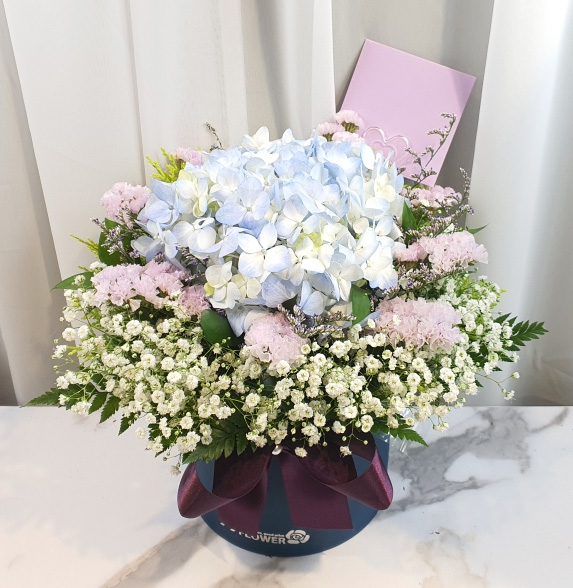 ST-B319