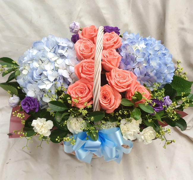 ST-A1661