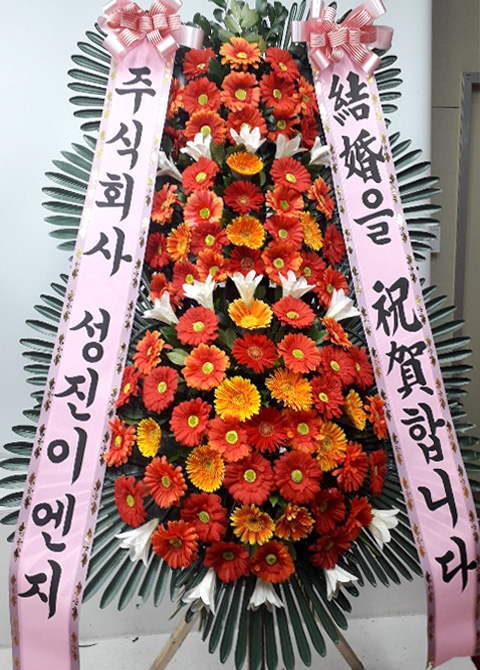 ST-FA248