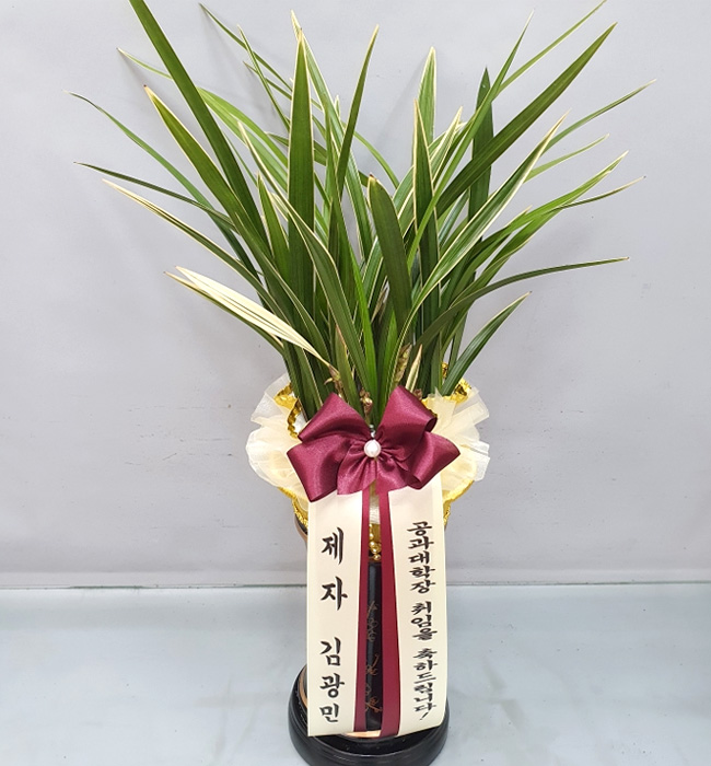 ST-E490