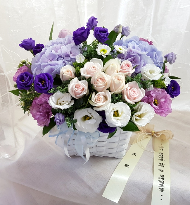 ST-A1661