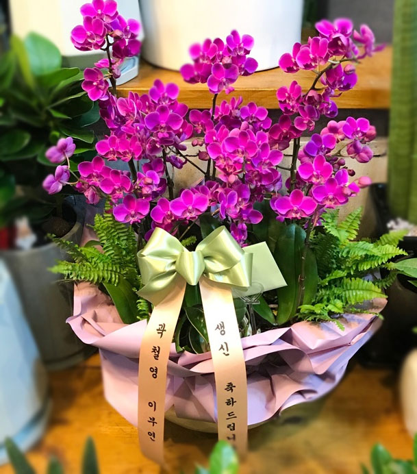 ST-H459