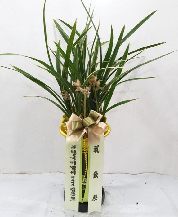 ST-E490