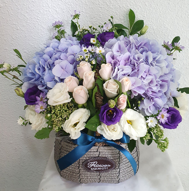 ST-A1661