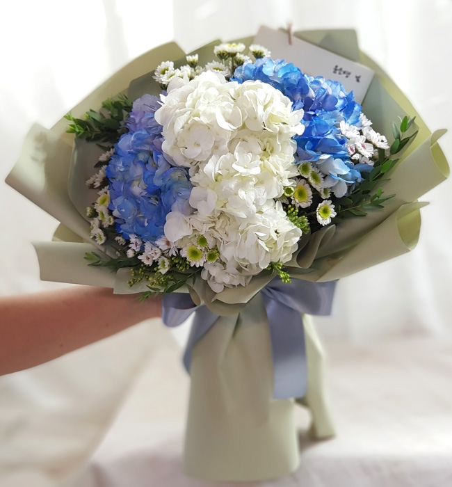 ST-C474