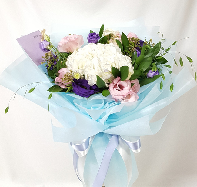 ST-C544
