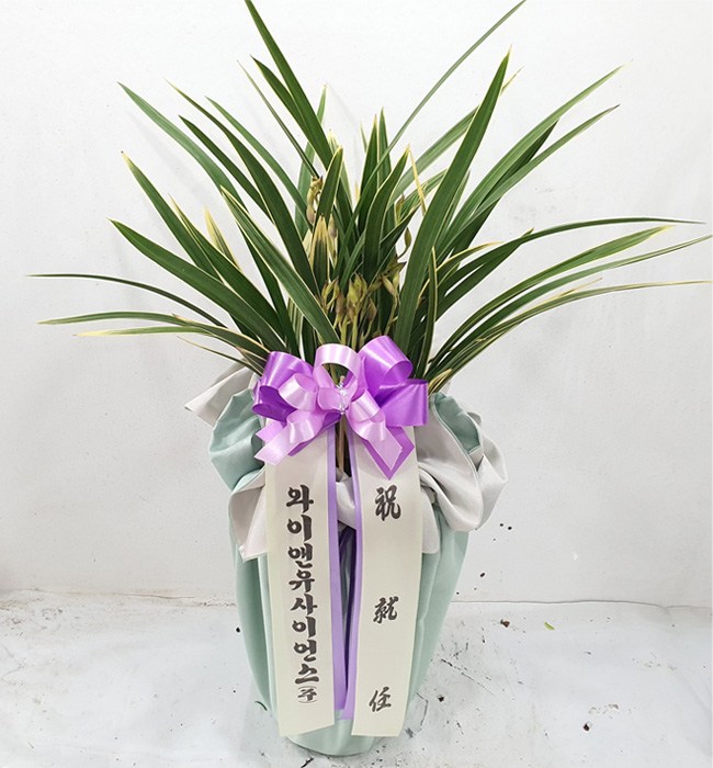 ST-E536