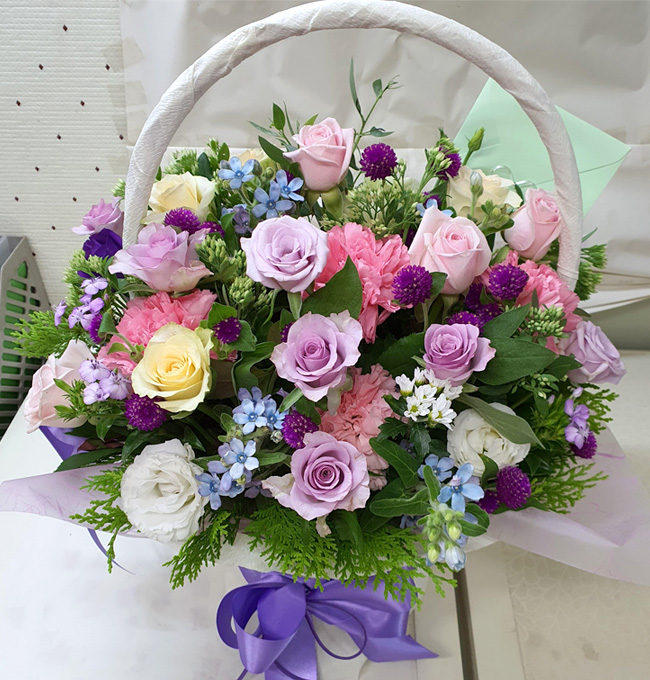 ST-A1113