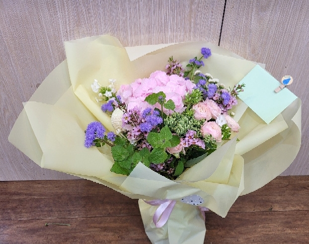 ST-C539