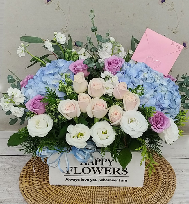 ST-A1661