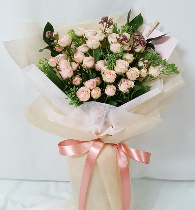 ST-C484
