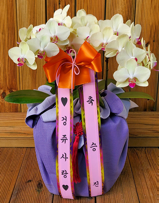 ST-H465