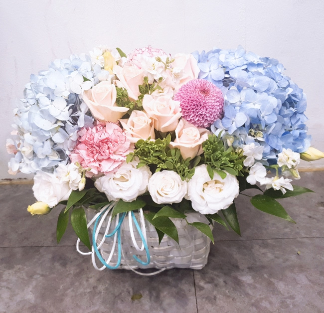 ST-A1661