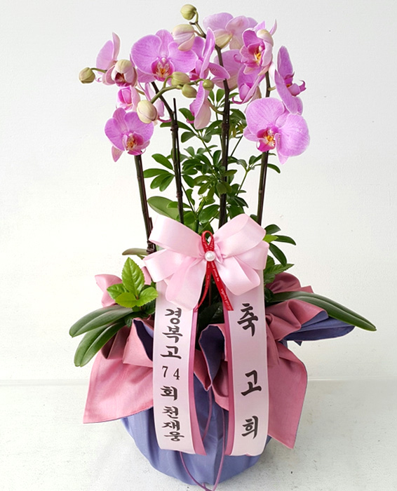 ST-H475