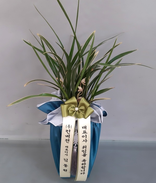 ST-E530