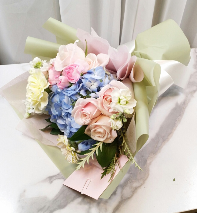ST-C546