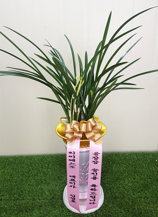 ST-E497