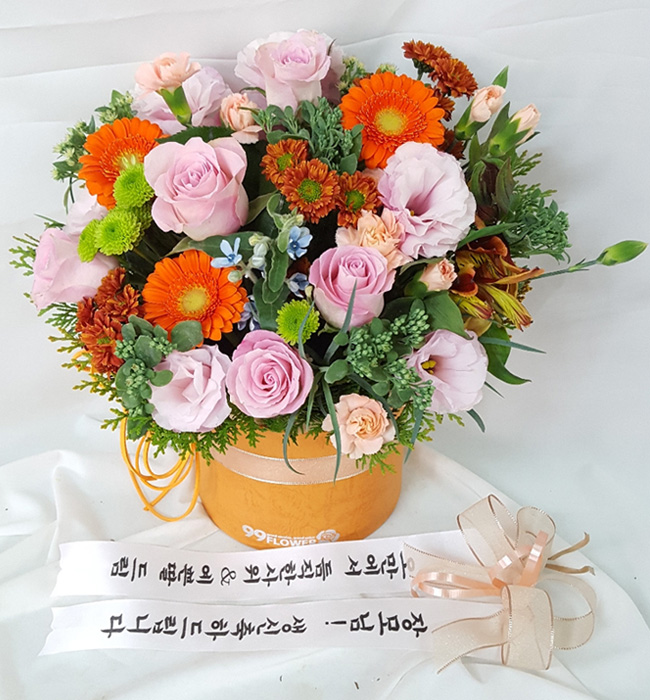 ST-B429