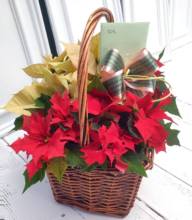 ST-A1609