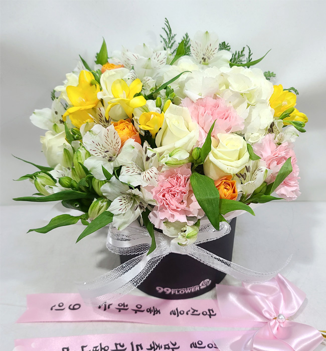 ST-B289